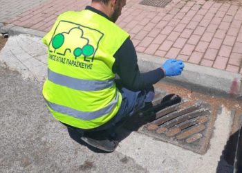 Tα μέτρα του Δήμου για προστασία από έντομα και τρωκτικά