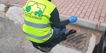 Tα μέτρα του Δήμου για προστασία από έντομα και τρωκτικά