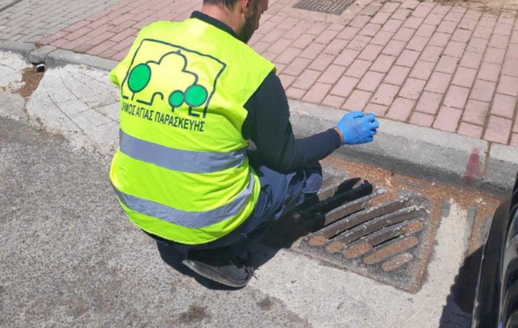 Tα μέτρα του Δήμου για προστασία από έντομα και τρωκτικά