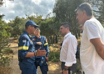 Γ. Μυλωνάκης: «Σε πλήρη ετοιμότητα για τη φύλαξη του Υμηττού»