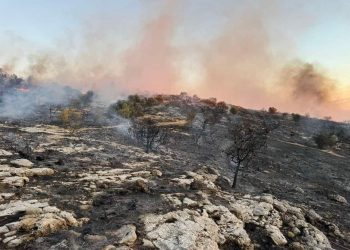 Γλυφάδα: Συνελήφθησαν δύο νεαροί που φέρονται να έβαλαν τη φωτιά στην Τερψιθέα