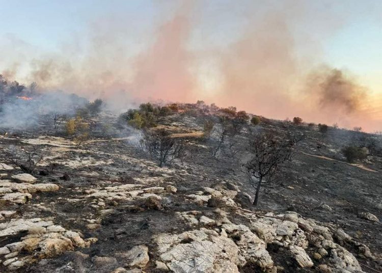 Γλυφάδα: Συνελήφθησαν δύο νεαροί που φέρονται να έβαλαν τη φωτιά στην Τερψιθέα