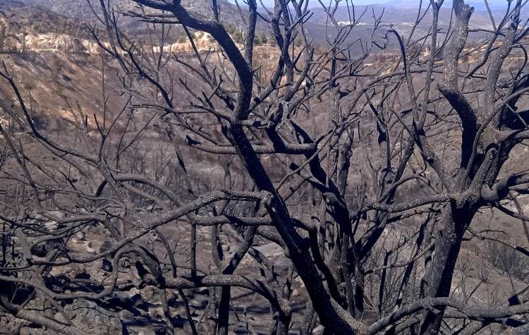 Σε κατάσταση έκτακτης ανάγκης τέσσερις Δημοτικές Κοινότητες