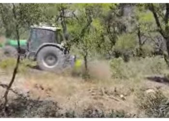 Λαϊκή Συσπείρωση: Ερωτήματα για τον καθαρισμό του δάσους Θεοκλήτου