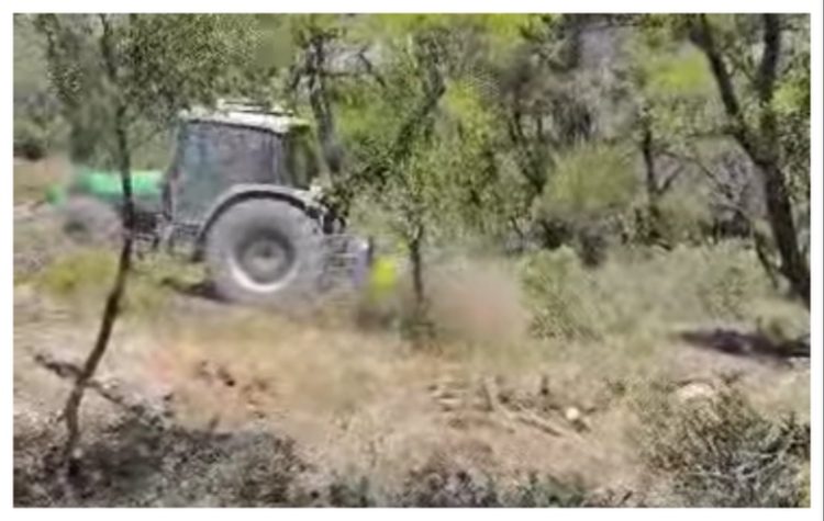 Λαϊκή Συσπείρωση: Ερωτήματα για τον καθαρισμό του δάσους Θεοκλήτου