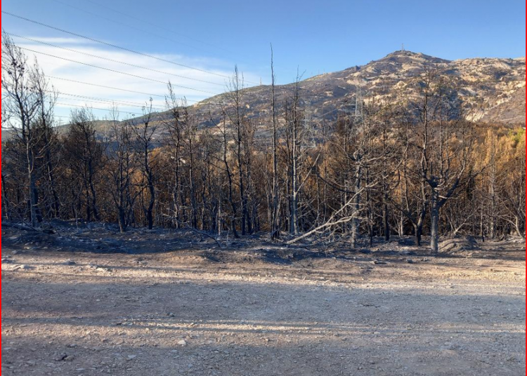«Η ΠΕΝΤΕΛΗ ΜΑΣ»: «Βαρύς ο απολογισμός της καταστροφικής φωτιάς»