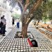 Cultural HIDRANT: Η παρακαταθήκη του προγράμματος στον Δήμο