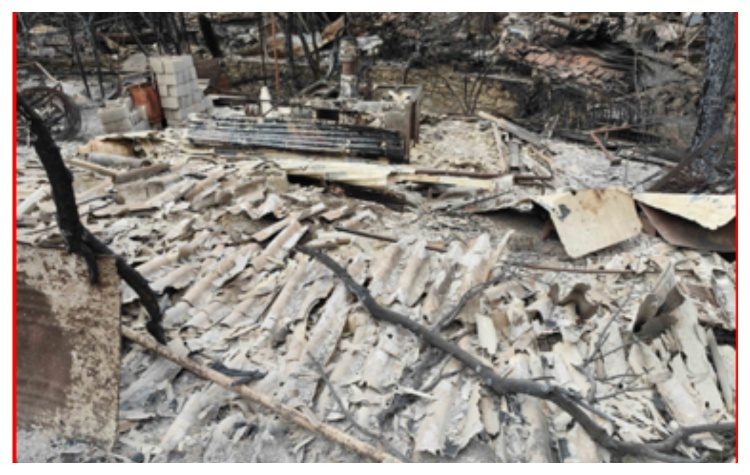 Πρώτη αυτοψία- Τι καταγγέλλει ο Σύλλογος Ρεματιάς