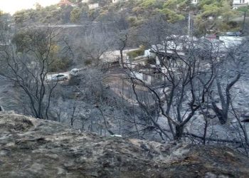 K. Eυθυμίου: «Παραλογισμοί στην οικονομική βοήθεια των πυρόπληκτων»