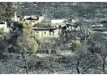 Ερώτηση ΚΚΕ στη Βουλή για τα μέτρα κατά των συνεπειών της πυρκαγιάς στην ΒΑ Αττική