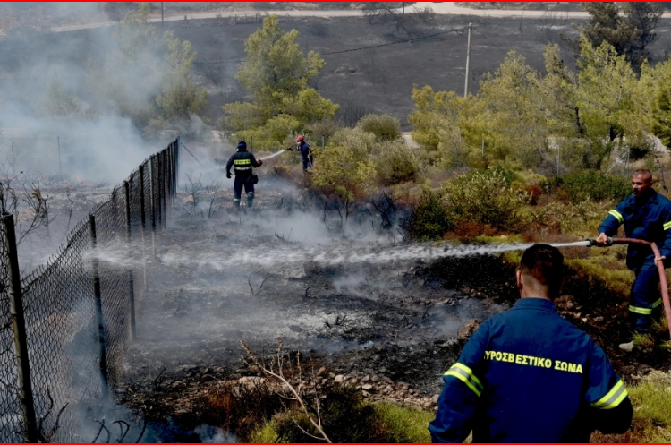 Ν. Κοσμοπούλου: «Είμαστε στις επάλξεις για την αντιμετώπιση των αναζωπυρώσεων»
