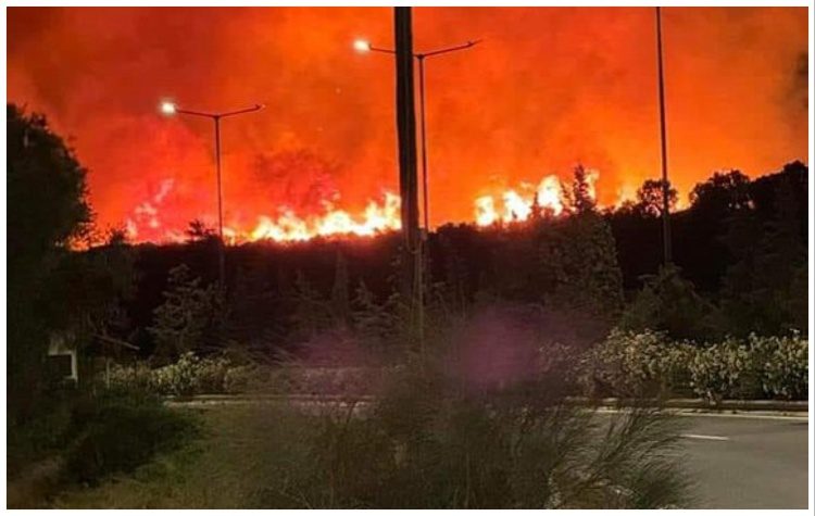 Ρύθμιση και αναστολή πληρωμής ασφαλιστικών εισφορών για πληγέντες από τις πυρκαγιές