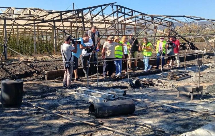 Περιφέρεια Αττικής: Τι έδειξαν οι αυτοψίες στις πυρόπληκτες επιχειρήσεις