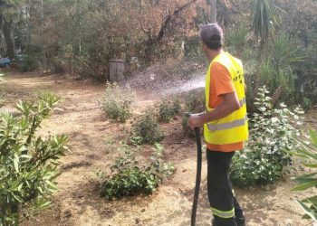 Μέριμνα για το πράσινο από τον Δήμο λόγω της ξηρασίας