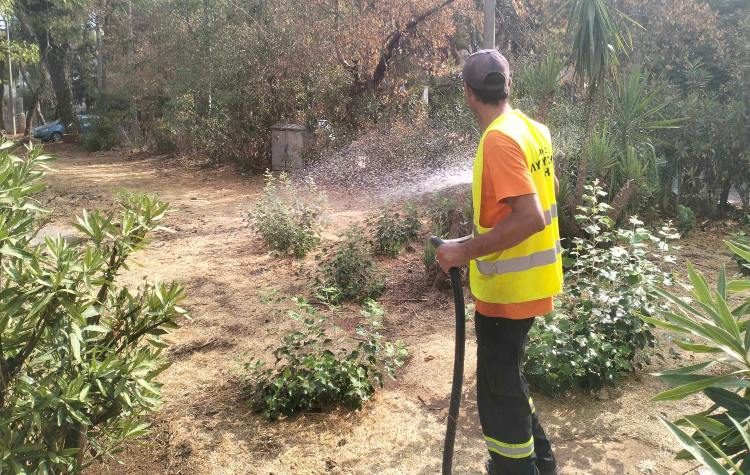 Μέριμνα για το πράσινο από τον Δήμο λόγω της ξηρασίας