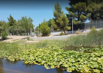 ΒΡΙΛΗΣΣΙΑ ΠΟΡΕΙΑ ΕΥΘΥΝΗΣ: «Αναγνωρίζουμε όσα γίνονται, αλλά και κρίνουμε τα κακώς κείμενα της διοίκησης»