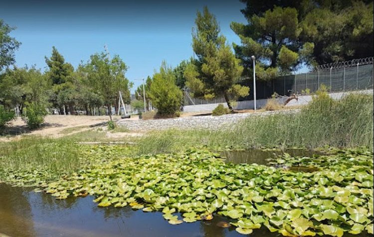 ΒΡΙΛΗΣΣΙΑ ΠΟΡΕΙΑ ΕΥΘΥΝΗΣ: «Αναγνωρίζουμε όσα γίνονται, αλλά και κρίνουμε τα κακώς κείμενα της διοίκησης»