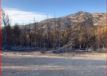 Νέα πολιτική αναζωπύρωση έφερε η φωτιά, αποχώρησε από το Δημοτικό Συμβούλιο η αντιπολίτευση