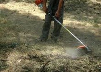 Πώς επηρέασαν οι καθαρισμοί των οικοπέδων την εξέλιξη των πυρκαγιών στην Αττική