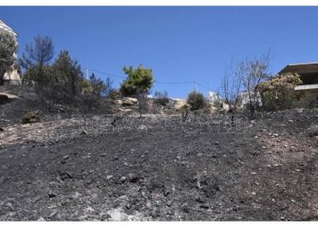 Περιβαλλοντικοί σύλλογοι: «Μην ενοχοποιείτε τα ρέματα για την πυρκαγιά»