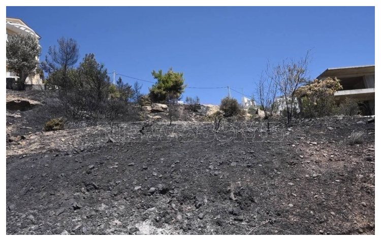 Περιβαλλοντικοί σύλλογοι: «Μην ενοχοποιείτε τα ρέματα για την πυρκαγιά»