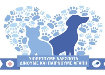 Μπορείτε να υιοθετήσετε πλέον αδέσποτο με ένα…κλικ