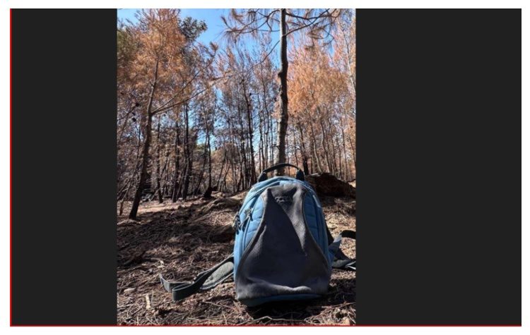 Οι προτάσεις της Ένωσης Γονέων για την στήριξη των μαθητών των πυρόπληκτων οικογενειών