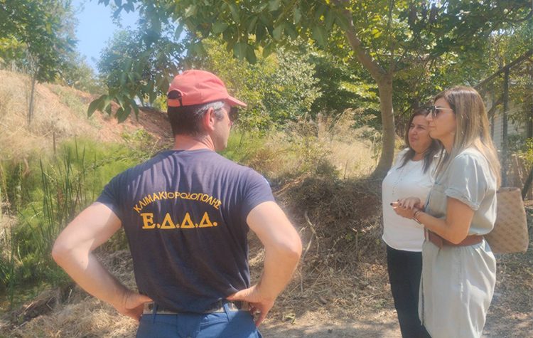 Οι έξι προτεραιότητες της Κ. Μαϊχόσογλου για την αποκατάσταση των πυρόπληκτων περιοχών