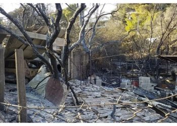 «Όπου λαλούν πολλοί κοκόροι»…