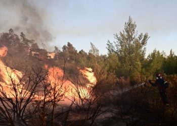 Επαγγελματικό Επιμελητήριο Αθηνών και ΓΣΕΒΕΕ στο πλευρό των πυρόπληκτων της Πεντέλης