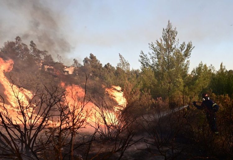 Επαγγελματικό Επιμελητήριο Αθηνών και ΓΣΕΒΕΕ στο πλευρό των πυρόπληκτων της Πεντέλης