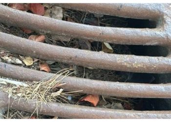 ΣΥΜΠΟΛΙΤΕΙΑ: «Ανοχύρωτη η Πεντέλη ενόψει πιθανών πλημμυρικών φαινομένων»