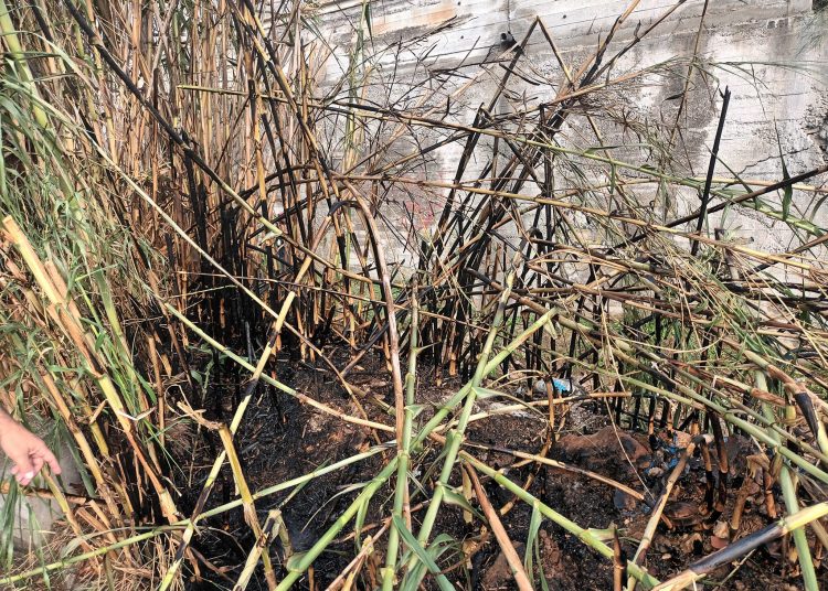 Άμεση κατάσβεση σε περιστατικό φωτιάς