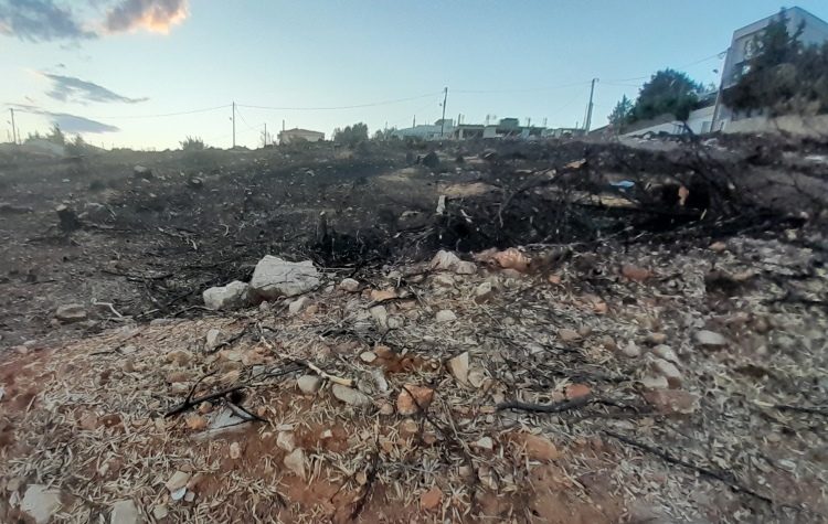 Ένας μήνας από την καταστροφική πυρκαγιά – Η «Α» στο Άνω Πάτημα