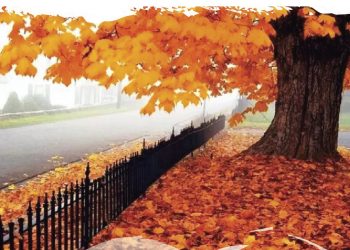 Πλούσιο το πρόγραμμα των ΚΑΠΗ του Δήμου Λυκόβρυσης – Πεύκης για τους μήνες Οκτώβριο και Νοέμβριο