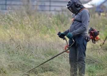 Δήμος Κηφισιάς: Τα «ναι» και τα «όχι» στη διαχείριση της βλάστησης εσωτερικών χώρων