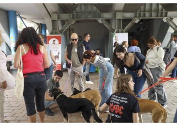 Άλλη μια «Ημέρα Υιοθεσίας Αδέσποτων Ζώων» διοργάνωσε ο Δήμος Αμαρουσίου