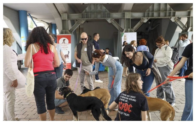 Άλλη μια «Ημέρα Υιοθεσίας Αδέσποτων Ζώων» διοργάνωσε ο Δήμος Αμαρουσίου