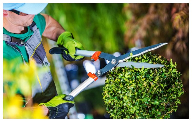 «Λαϊκή Συσπείρωση» Αμαρουσίου: «Η δημοτική Αρχή παραδίδει την υπηρεσία πρασίνου σε ιδιώτες»