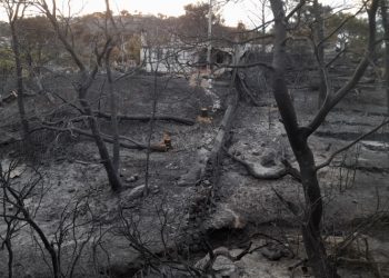 «Αγαπάμε το Χαλάνδρι»: «Μεγάλα και πολλά τα προβλήματα μετά τη φωτιά»