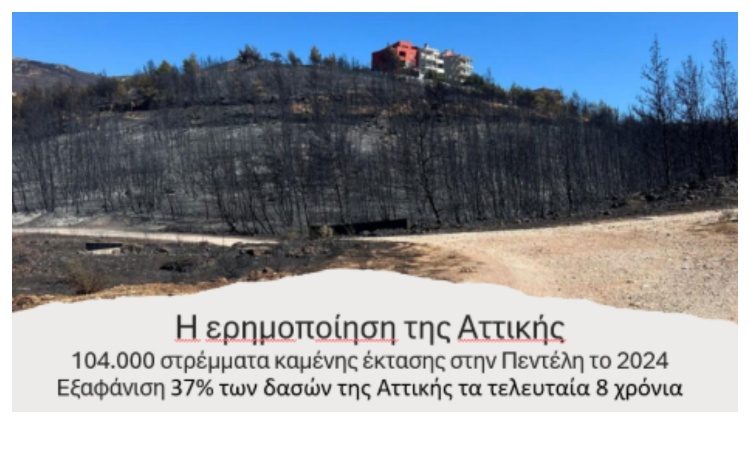 Θανάσης Σπηλιώτης: «Μια εξαιρετική ευκαιρία να φτιάξουμε ένα νέο σημείο αναφοράς στην πόλη μας»