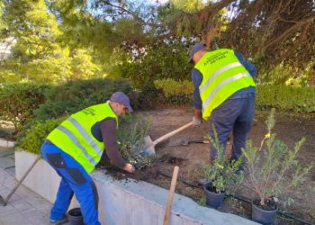 Νέες δενδροφυτεύσεις στον Δήμο Λυκόβρυσης – Πεύκης