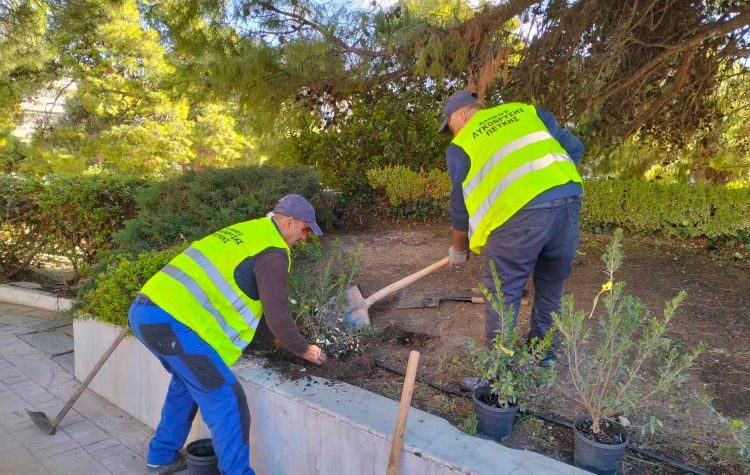 Νέες δενδροφυτεύσεις στον Δήμο Λυκόβρυσης – Πεύκης