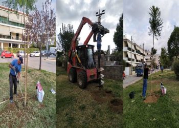 Ενίσχυση του πράσινου στην Πλατεία Ελευθερίας στη Λυκόβρυση