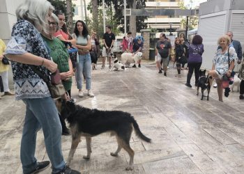 Με σημαντική επιτυχία πραγματοποιήθηκε το 1ο Φεστιβάλ Φιλοζωίας του Δήμου