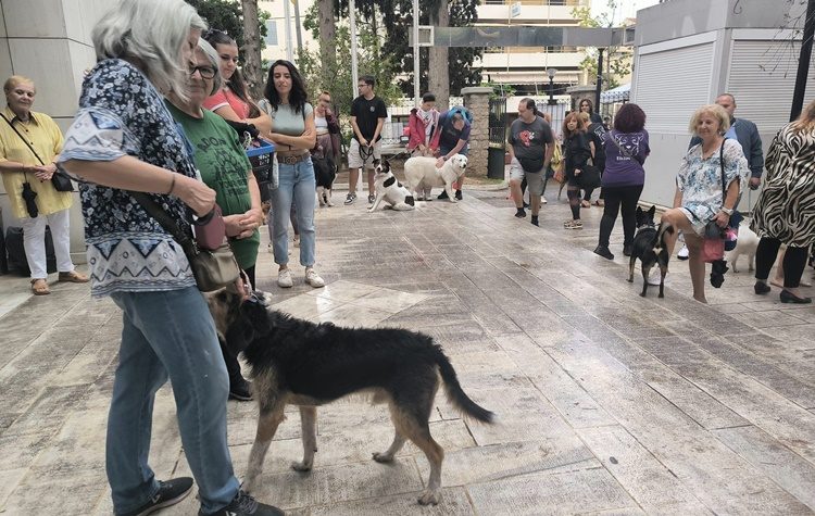 Με σημαντική επιτυχία πραγματοποιήθηκε το 1ο Φεστιβάλ Φιλοζωίας του Δήμου