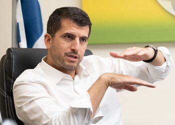 Δήμος εναντίον ΝΟΚ: Απόφαση - φρένο στη «σφαγή» των δέντρων