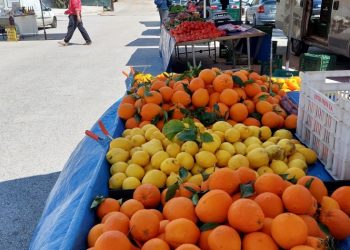 Δήμος Χαλανδρίου: «Η Λ. Κεφαλογιάννη αυθαιρετεί στη χωροθέτηση λαϊκής αγοράς»