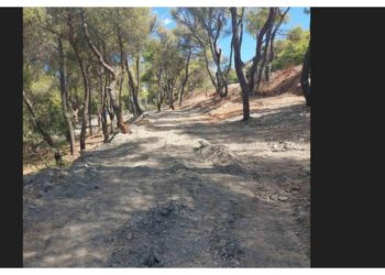 Καταγγελία κατοίκων σε 4 αρμόδιους φορείς: «Πράξεις υποβάθμισης του φυσικού περιβάλλοντος και του Πεντελικού βουνού»