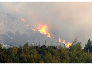 ΣΥΜΠΟΛΙΤΕΙΑ: «Ως πότε θα σιωπά η κ. Κοσμοπούλου πάνω από τις στάχτες της Πεντέλης;»